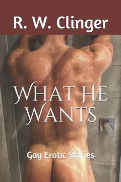 portada What He Wants: Gay Erotic Stories (in English)