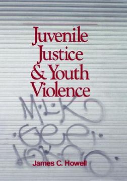 portada juvenile justice and youth violence