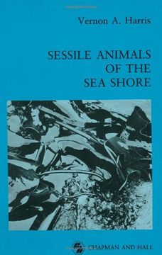 portada Sessile Animals of the sea Shore (en Inglés)