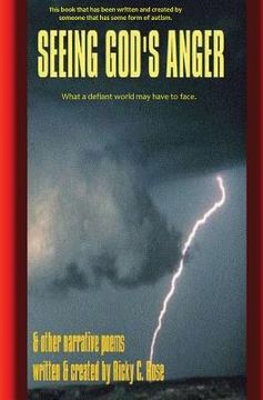 portada Seeing God's Anger: and other narrative poems (en Inglés)