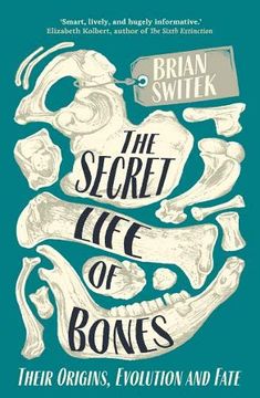 portada The Secret Life of Bones: Their Origins, Evolution and Fate (en Inglés)