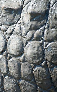 portada Alive! Crocodile Skin - Natural and Muddy - Photo Art Nots (5 X 8 Series)