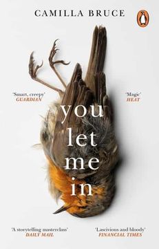 portada You let me in: The Acclaimed, Unsettling Novel of Haunted Love, Revenge and the Nature of Truth (in English)