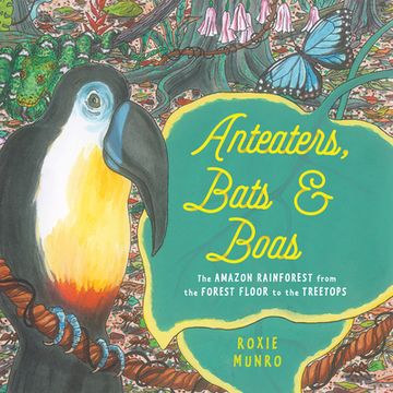 portada Anteaters, Bats & Boas: The Amazon Rainforest From the Forest Floor to the Treetops (in English)