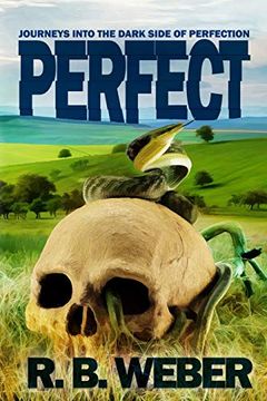 portada Perfect (en Inglés)