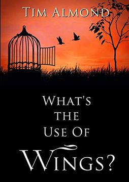 portada What's the use of Wings? (in English)