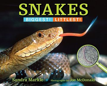 portada Snakes: Biggest! Littlest! (en Inglés)
