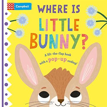 portada Where is Little Bunny? (in English)
