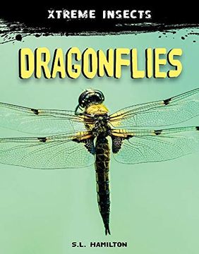 portada Dragonflies (Xtreme Insects) (in English)
