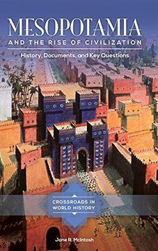 portada Mesopotamia and the Rise of Civilization: History, Documents, and Key Questions (Crossroads in World History) 