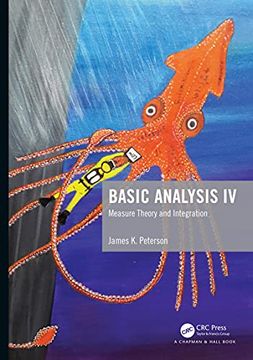 portada Basic Analysis IV: Measure Theory and Integration (en Inglés)