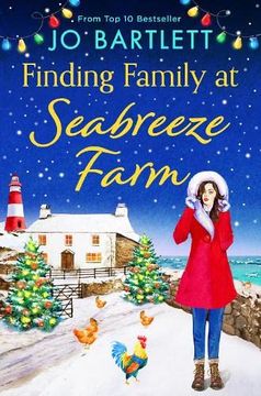 portada Finding Family at Seabreeze Farm 