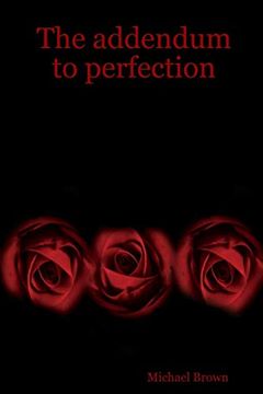 portada The Addendum to Perfection (en Inglés)