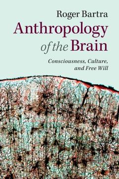 portada Anthropology of the Brain: Consciousness, Culture, and Free Will 