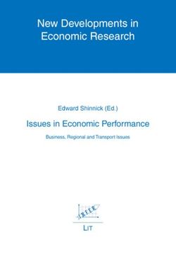 portada Issues in Economic Performance Business, Regional and Transport Issues new Developments in Economic Research