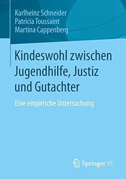 portada Kindeswohl Zwischen Jugendhilfe, Justiz und Gutachter: Eine Empirische Untersuchung (en Alemán)
