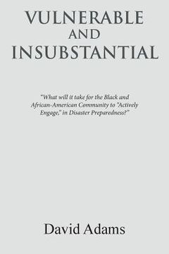 portada Vulnerable and Insubstantial: What Will It Take? (in English)