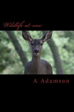 portada Wildlife at one (en Inglés)