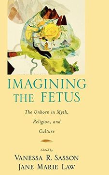 portada Imagining the Fetus the Unborn in Myth, Religion, and Culture (American Academy of Religion Cultural Criticism Series) (in English)