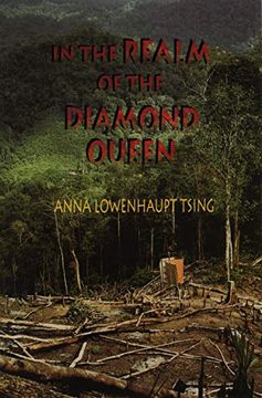 portada In the Realm of the Diamond Queen: Marginality in an Out-Of-The-Way Place (en Inglés)