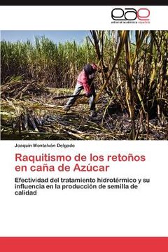 portada raquitismo de los reto os en ca a de az car