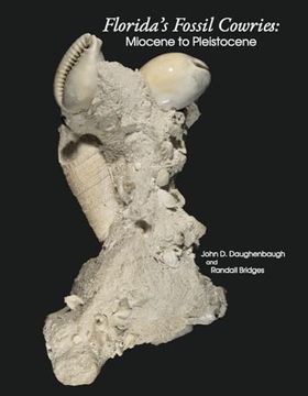 portada Florida’S Fossil Cowries: Miocene to Pleistocene