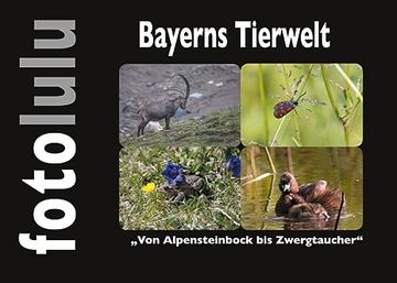portada Bayerns Tierwelt von Alpensteinbock bis Zwergtaucher (en Alemán)