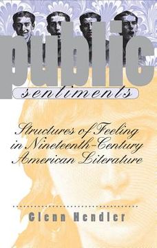 portada public sentiments: structures of feeling in nineteenth-century american literature (en Inglés)