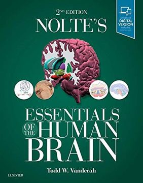 portada Nolte's Essentials of the Human Brain (en Inglés)