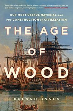 portada The age of Wood: Our Most Useful Material and the Construction of Civilization (in English)