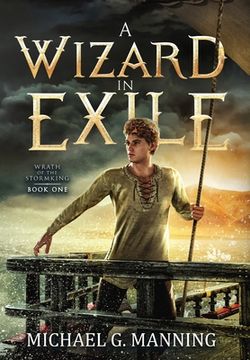 portada Wizard in Exile (en Inglés)