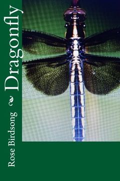 portada Dragonfly