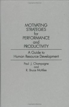 portada Motivating Strategies for Performance and Productivity: A Guide to Human Resource Development (Imeko Tc Series; 16)