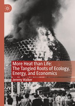 portada More Heat Than Life: The Tangled Roots of Ecology, Energy, and Economics (en Inglés)