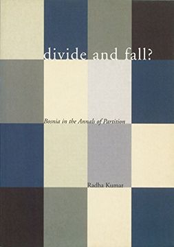 portada Divide and Fall?: Bosnia in the Annals of Partition (en Inglés)