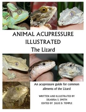 portada Animal Acupressure Illustrated the Lizard (in English)