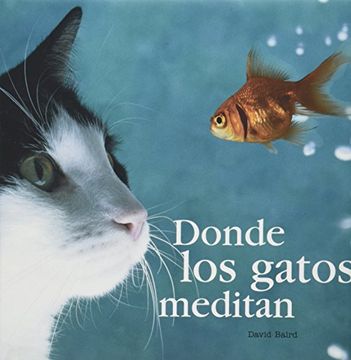 portada Donde los Gatos Meditan