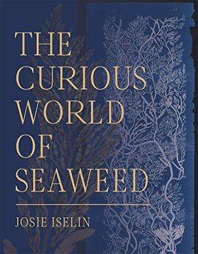 portada The Curious World of Seaweed (en Inglés)