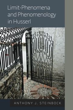 portada Limit-Phenomena and Phenomenology in Husserl