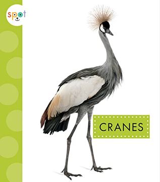 portada Cranes (Spot big Birds) (in English)