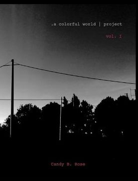 portada .a colorful world project: volume #1 (en Inglés)