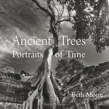 portada Ancient Trees: Portraits of Time (en Inglés)