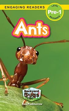 portada Ants: Backyard Bugs and Creepy-Crawlies (Engaging Readers, Level Pre-1) (en Inglés)