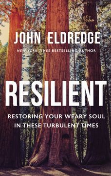 portada Resilient: Restoring Your Weary Soul in These Turbulent Times (en Inglés)