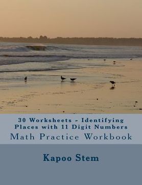portada 30 Worksheets - Identifying Places with 11 Digit Numbers: Math Practice Workbook (en Inglés)