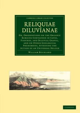 portada Reliquiae Diluvianae Paperback (Cambridge Library Collection - Earth Science) (en Inglés)