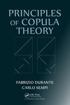 portada Principles of Copula Theory (en Inglés)