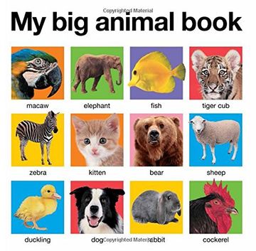 portada My big Animal Book (my big Board Books) (in English)