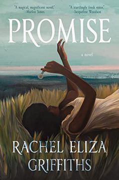 portada Promise: A Novel (in English)