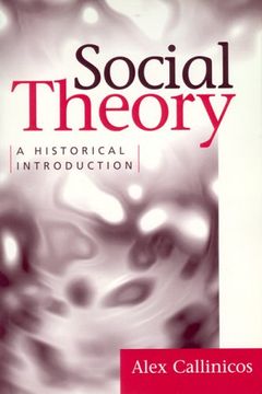 portada Social Theory: A Historical Introduction (en Inglés)